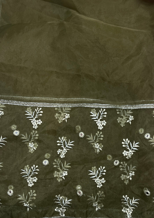 Sapphire formal organza dupatta