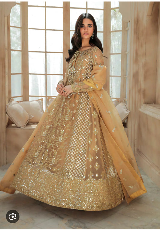 Same as freesia by parizah formal organza suit