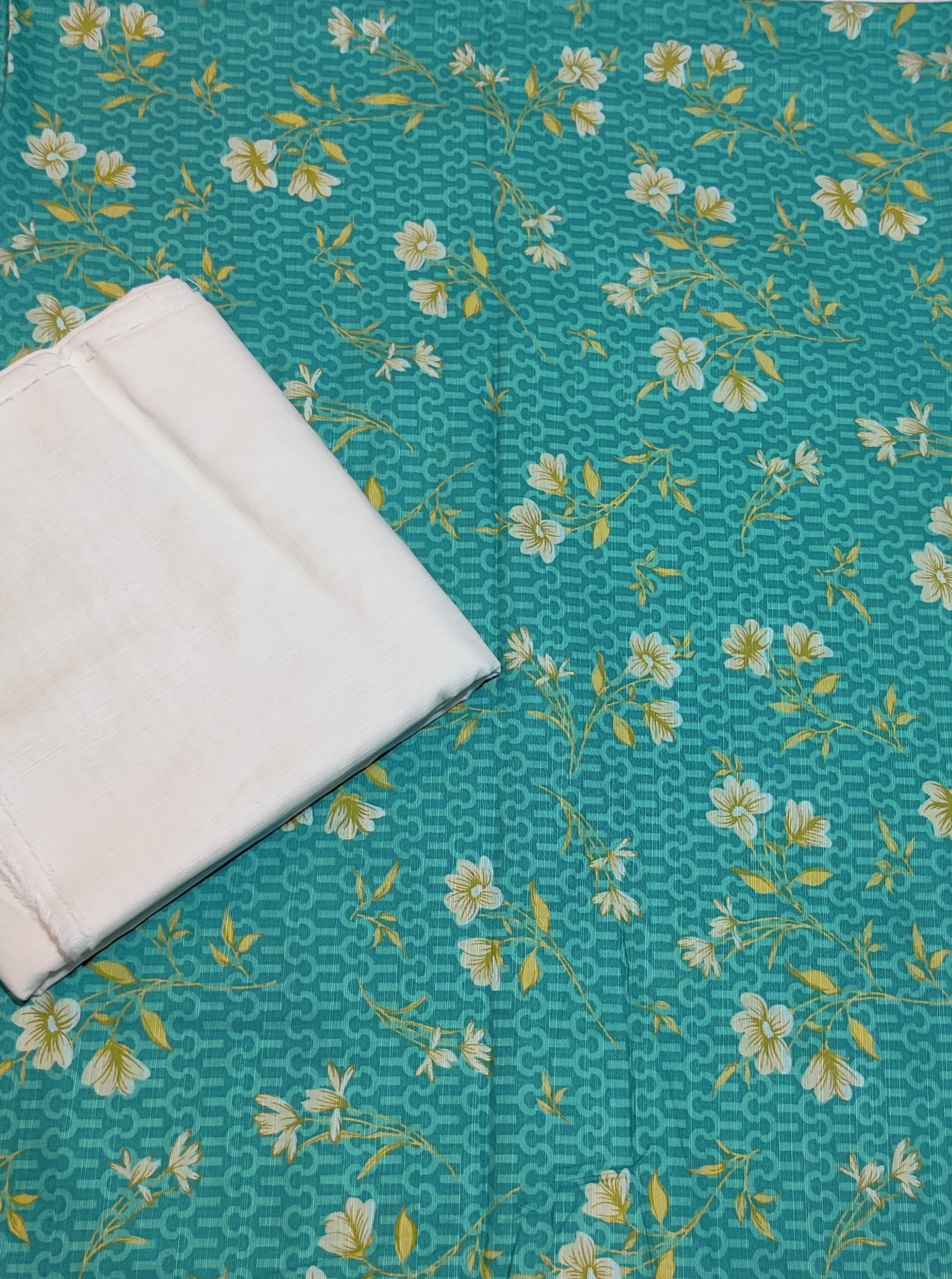 Coco Lenaim printed Khaddar 2pc – Meewan Collection